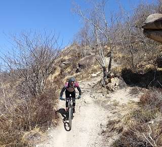 Bike Tour Titlis