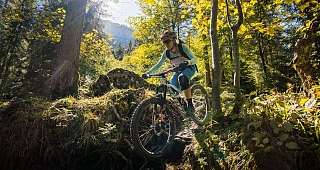 Mountain Biking