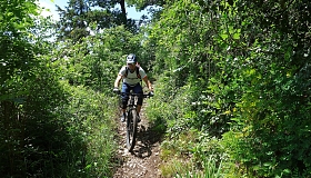 Corsi di bici