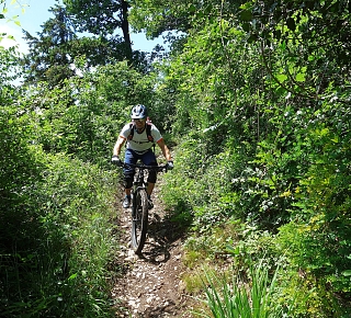 Corsi di bici