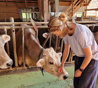 Titelbild Blog Farms Tour and Cheese Tasting