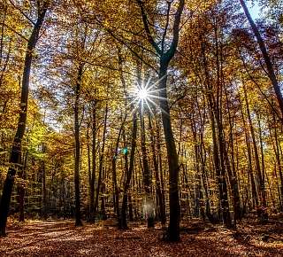 Herbst in Luzern