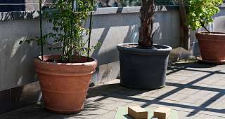 Yoga auf Dachterrasse2