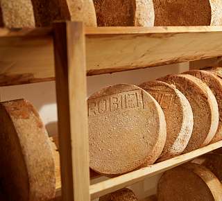 Bellini cheese cellar in Lucernce