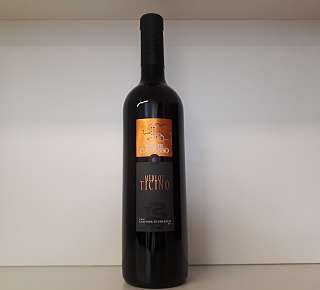 Monte Carasso Merlot aus dem Tessin