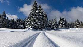 Langläufer im Schnee 