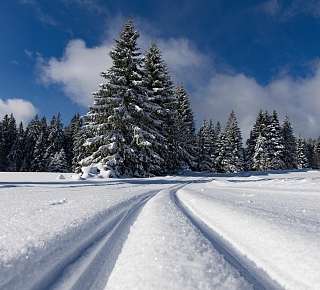 Cross-country skiing in Lucerne